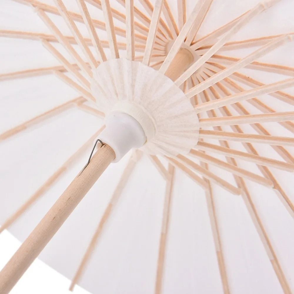 مظلة ورقية بقطر 20/30/40/60 سم - مراجعة Photography Umbrella وسعره